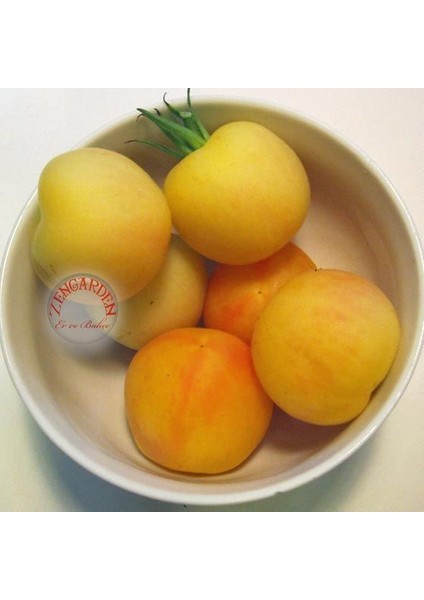 Kokulu Şeftali Domates Tohumu Geleneksel Garden Peach Tomato