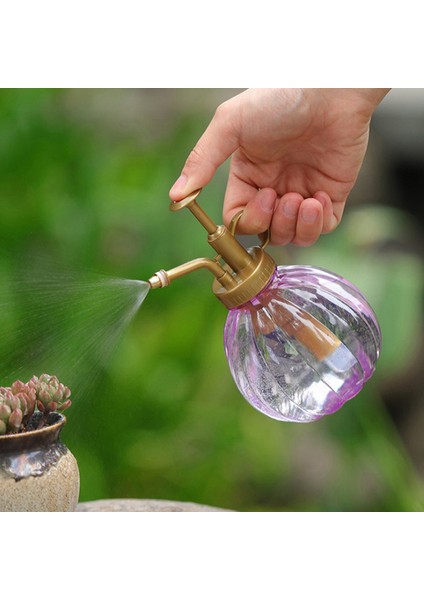 350 ml Bitki Çiçek Sulama Kabı Sprey Şişesi Bahçe Mister Püskürtücü Su Isıtıcısı (Yurt Dışından) modelleri