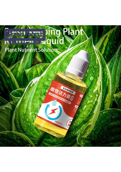 Yeşil Orman Bitki Besin Çözümü Hızlı Çiçeklenen Taze Saklayan Bitki Besin Maddesi (Yurt Dışından)