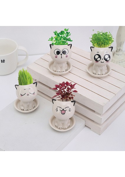 Seramik Saksı Mini Kedi Şekilli Karikatür Masaüstü Saksı Ifade Kedi Saksı Masası Süslemeleri Süs Jessica (Yurt Dışından)