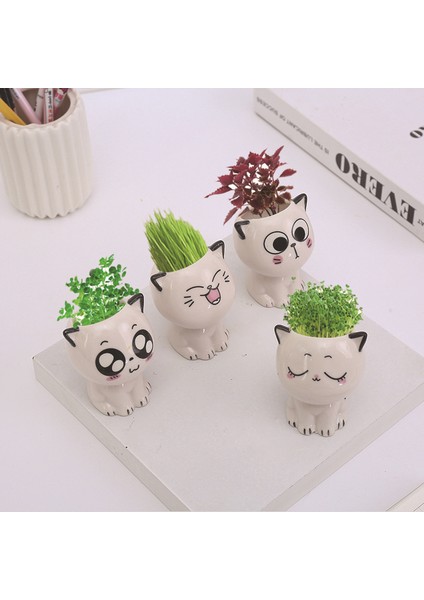 Seramik Saksı Mini Kedi Şekilli Karikatür Masaüstü Saksı Ifade Kedi Saksı Masası Süslemeleri Süs Jessica (Yurt Dışından)