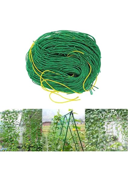 Bahçe Yeşil Naylon Kafes Netleştirme Desteği Tırmanma Fasulye Bitki Ağları Büyümek Çit Güneş Işığı Süper Mağaza (Yurt Dışından)