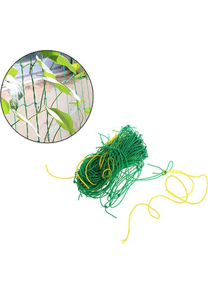 Bahçe Yeşil Naylon Kafes Netleştirme Desteği Tırmanma Fasulye Bitki Ağları Büyümek Çit Güneş Işığı Süper Mağaza (Yurt Dışından) modelleri