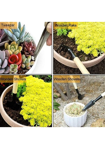 [sıcak] 14 Parça Mini Bonsai Aletleri Bahçe Alet Seti Kaktüs Sulu Meyveler Bitkileri Dikim (Yurt Dışından)