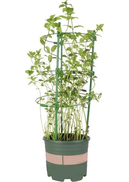 Bahçe Balkon Bitkisi Çiçek Kafes-6 x Bitki Saksı Destek Çerçevesi-Yeşil (Yurt Dışından) indirimleri