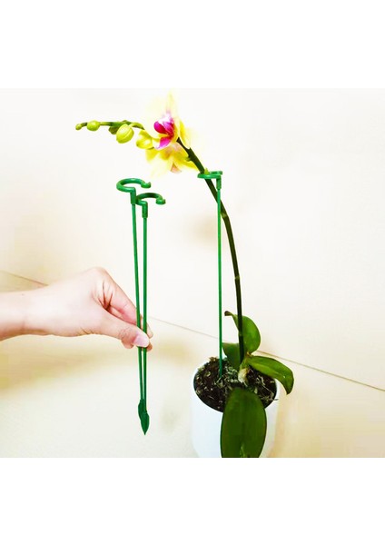10 Adet Bitki Şekli Braketi/yatma Önleyici Phalaenopsis Çiçek Destekleri/bahçe Için Tek Kök Çalı Tutucu (Yurt Dışından) fırsatları