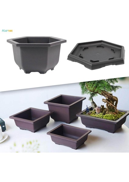 Tepsili Eğitim Saksıları Saksı Sağlam Bitkiler Büyüyen Saksı Bonsai Eğitim Saksıları Ofis Masası Için Çok Fonksiyonlu Büyük Kapalı Balkon (Yurt Dışından)