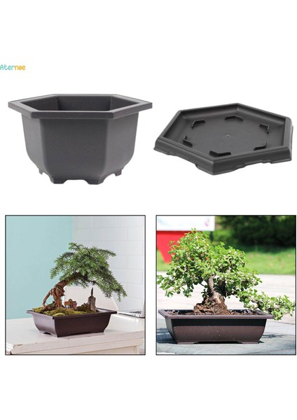 Tepsili Eğitim Saksıları Saksı Sağlam Bitkiler Büyüyen Saksı Bonsai Eğitim Saksıları Ofis Masası Için Çok Fonksiyonlu Büyük Kapalı Balkon (Yurt Dışından)