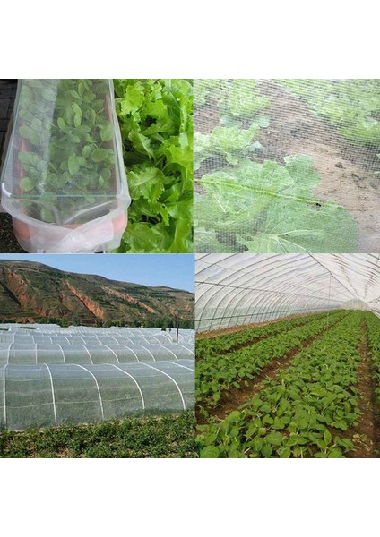 2.5X10 Metre 8X32FT Sebze Netleştirme Örgü Sivrisinek Anti-Kuş Ağı Sera Bahçe Mahsul Sebze Koruma Ince File Kumaş (Yurt Dışından)