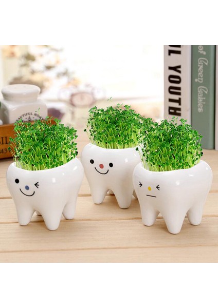 Adet Bonsai Seramik Saksı Dıy Küçük Ekici Etli Bitkiler Diş Şekli Pot Jing (Yurt Dışından) fiyatları