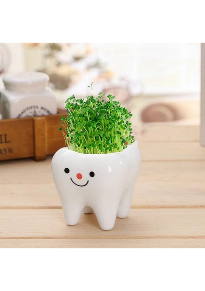 Adet Bonsai Seramik Saksı Dıy Küçük Ekici Etli Bitkiler Diş Şekli Pot Jing (Yurt Dışından) indirimleri