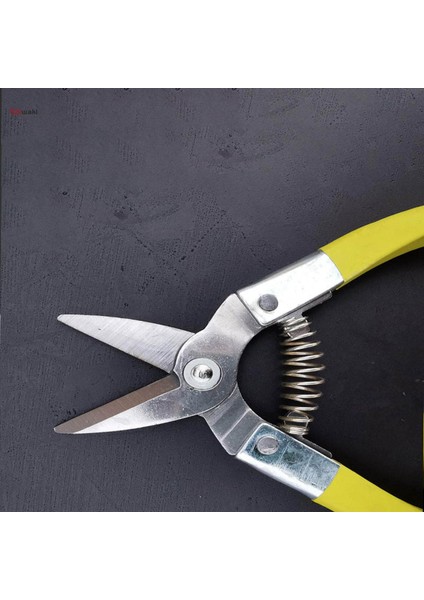 Bahçe Budama Makası, Çok Fonksiyonlu Paslanmaz Çelik Keskin Budama Makasları, Meyve Toplama Makası, Meyve Bahçesi Gül Bahçesi Için Çiçekçi Çalıları Için Kullanım (Yurt Dışından) modelleri