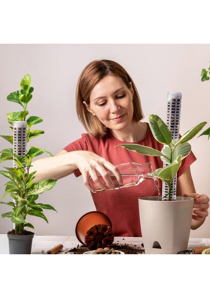 Bitki Destek Çerçevesi Pürüzsüz Kenar Tırmanma Çerçevesi Saksı Bitkileri Yosun Kutup Çubuğu (Yurt Dışından)