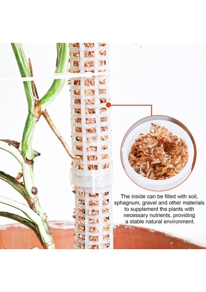 Bitki Destek Çerçevesi Pürüzsüz Kenar Tırmanma Çerçevesi Saksı Bitkileri Yosun Kutup Çubuğu (Yurt Dışından) indirimleri