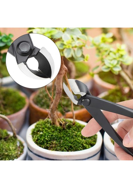 Bonsai Şube Kesici Meyve Ağacı Saksı Peyzaj Modelleme Aracı Bahçe Makası Makas (Yurt Dışından) fiyatları