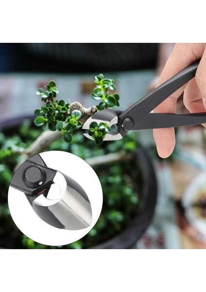 Bonsai Şube Kesici Meyve Ağacı Saksı Peyzaj Modelleme Aracı Bahçe Makası Makas (Yurt Dışından) modelleri