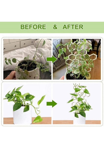 Saksı Bitkileri Için Kafes Bitki Kafes Kapalı Ahşap Petek Şekli Çiçek Ste Mj (Yurt Dışından) modelleri