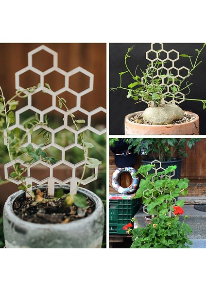 Saksı Bitkileri Için Kafes Bitki Kafes Kapalı Ahşap Petek Şekli Çiçek Ste Mj (Yurt Dışından) fırsatları