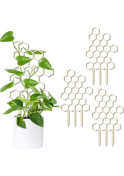 Saksı Bitkileri Için Kafes Bitki Kafes Kapalı Ahşap Petek Şekli Çiçek Ste Güneş Işığı Süper Mağaza (Yurt Dışından)