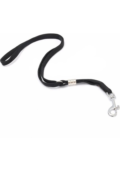2x Köpek Pet Kedi Hayvan Ilmik Döngü Kilit Klip Halat Bakım Masası Kol Banyosu 52 cm (Yurt Dışından) fırsatları