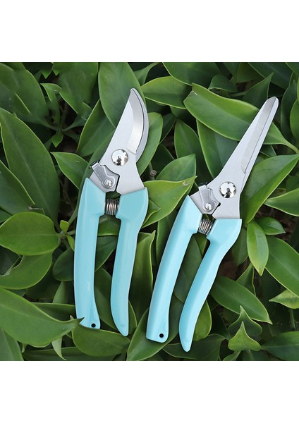 Pruner Meyve Bahçesi ve Bahçe El Aletleri Bonsai Makas Bahçecilik Makinesi Kıyıcı Budama Makası Çalı Kesici Profesyonel (Yurt Dışından)