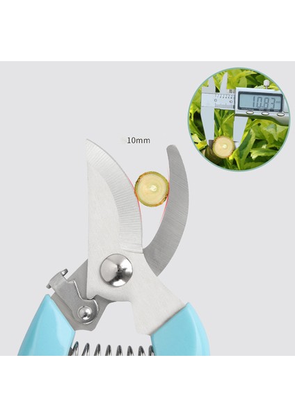 Pruner Meyve Bahçesi ve Bahçe El Aletleri Bonsai Makas Bahçecilik Makinesi Kıyıcı Budama Makası Çalı Kesici Profesyonel (Yurt Dışından)