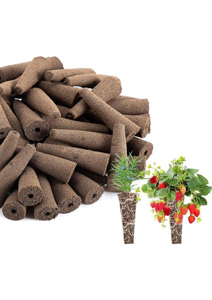 Topraksız Bitki Büyümesi Için Bitki Yetiştirme Tıkaçları Süngerleri, 50'li Paket (Yurt Dışından)