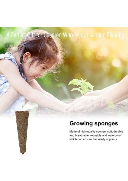 Topraksız Bitki Büyümesi Için Bitki Yetiştirme Tıkaçları Süngerleri, 50'li Paket (Yurt Dışından) modelleri