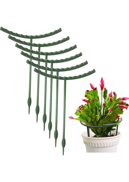 1/2 Adet Bahçe Tesisi Destek Kafesi Katlı Çiçek Standı Tutucu Plastik Yarı Daire Yeşil Ev Meyve Bahçesi Çubuk Ev Bahçe Bonsai Aracı (Yurt Dışından) modelleri