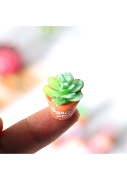 Adet Bebek Evi Minyatür Saksı Etli Bitki Bahçe Mikro Peyzaj Dekorasyon (Yurt Dışından)