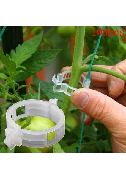 100 Adet Sebzeli Bahçe Tesisi Kafes Sicim Sera Için Destek Klipleri Podazz (Yurt Dışından)