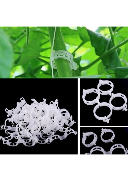 100 Adet Sebzeli Bahçe Tesisi Kafes Sicim Sera Için Destek Klipleri Podazz (Yurt Dışından) modelleri