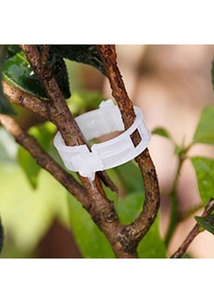 100 Adet Sebzeli Bahçe Tesisi Kafes Sicim Sera Için Destek Klipleri Podazz (Yurt Dışından) fırsatları