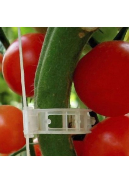 100 Adet Sebzeli Bahçe Tesisi Kafes Sicim Sera Için Destek Klipleri Podazz (Yurt Dışından) indirimleri