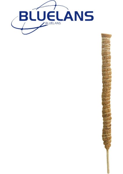 Bitki Tırmanma Kafes Kolay Kurulum Dıy Şekli Saksı Bitki Kafes Desteği (Yurt Dışından)