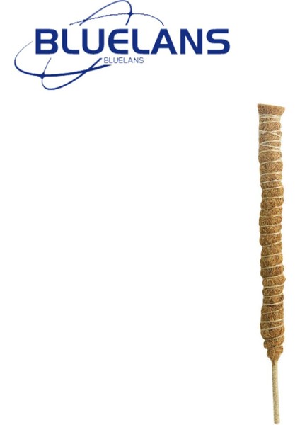 Bitki Tırmanma Kafes Kolay Kurulum Dıy Şekli Saksı Bitki Kafes Desteği (Yurt Dışından) modelleri