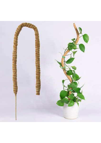 Bitki Tırmanma Kafes Kolay Kurulum Dıy Şekli Saksı Bitki Kafes Desteği (Yurt Dışından) fırsatları