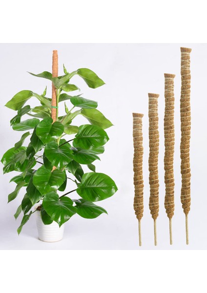 Bitki Tırmanma Kafes Kolay Kurulum Dıy Şekli Saksı Bitki Kafes Desteği (Yurt Dışından) indirimleri