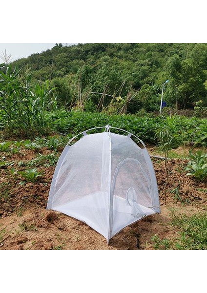 Çok Fonksiyonlu Bitki Yalıtım Döken Bahçe Sera Katlanır Mini Şeffaf Seralar Pvc Sıcak Bahçe Seti (Yurt Dışından) indirimleri