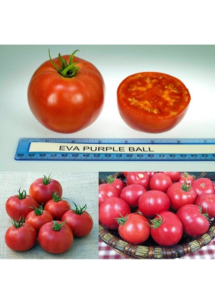 Karaorman Domates Tohumu Geleneksel Eva Purple Ball Tomato fiyatları