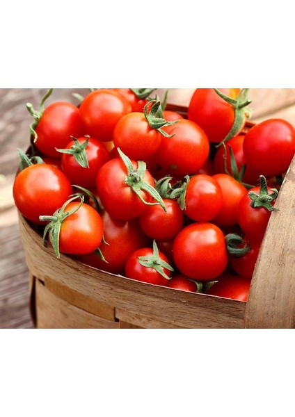 Kiraz Salkım Domates Tohumu Geleneksel Sweetie Tomato indirimleri