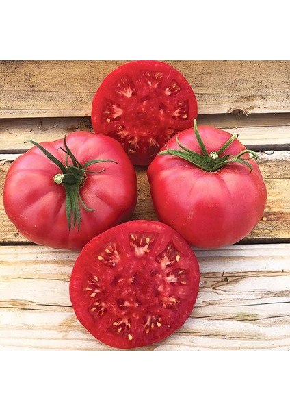 Dev Ponderosa Pembe Domates Tohumu Ince Kabuklu Ponderosa Pink Beefsteak Heirloom Tomato fiyatları
