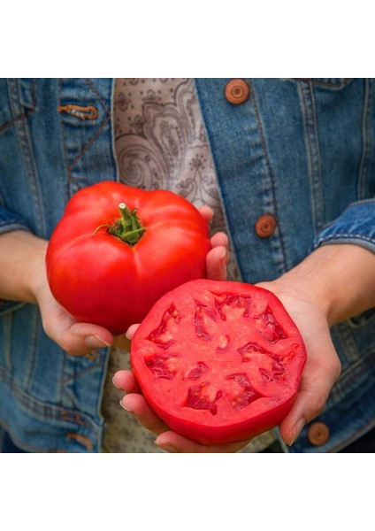 Dev Ponderosa Kırmızı Domates Tohumu Ince Kabuklu Ponderosa Red Beefsteak Heirloom Tomato