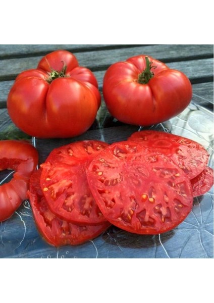 Dev Ponderosa Kırmızı Domates Tohumu Ince Kabuklu Ponderosa Red Beefsteak Heirloom Tomato