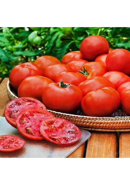 Florida Domates Tohumu Geleneksel Floridade Tomato