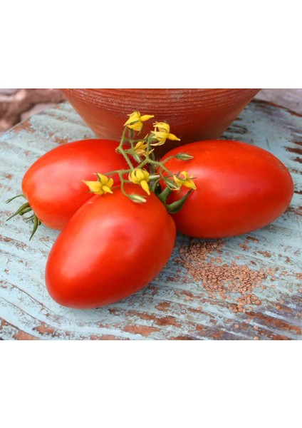 Roma Domates Tohumu Geleneksel Rome Tomato Heirloom Seeds