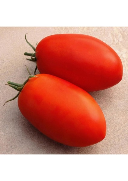 Roma Domates Tohumu Geleneksel Rome Tomato Heirloom Seeds