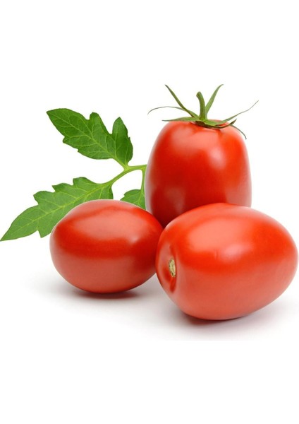 Roma Domates Tohumu Geleneksel Rome Tomato Heirloom Seeds