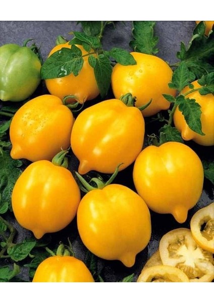 Sarı Limon Domates Tohumu Geleneksel Heirloom Plum Lemon Tomato fiyatları