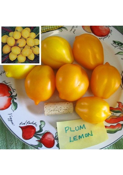 Sarı Limon Domates Tohumu Geleneksel Heirloom Plum Lemon Tomato modelleri